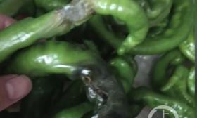 兰州一幼儿园被指给孩子食用变质过期食品 教育局：已辞退现任园长