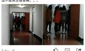 高校“花式查寝”处处惊慌失措、鬼哭狼嚎，你听说过吗？