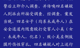 女生逛商场遭4女子殴打致鼓膜穿孔 涉事者均未成年