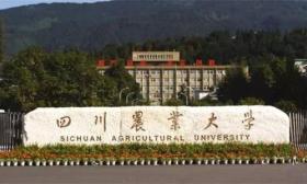 四川农业大学招聘10名思想政治理论课教师公告 