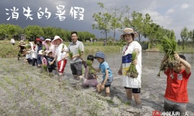 摆脱育儿焦虑，5个全职妈妈暑假带娃逃离北京，大理种田抓蝈蝈