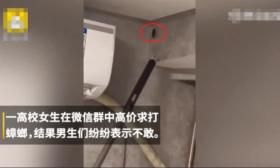 女生高价求打蟑螂！男生：南方大蟑螂，又黑又亮，我们也怕怕啊