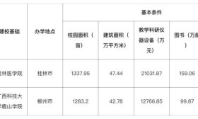 广西一民办高校拟“变脸”，新校名走复古路线，网友却有点担心