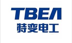 特变 电工 新能源 股份有限公司 香港