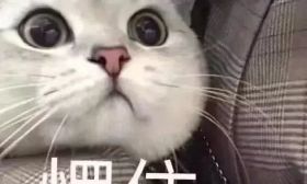 来韶 | 学校里竟然还有这些奇葩的规章制度？哈哈哈哈！ 