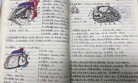 川大医学生教科书级笔记走红，网友誉称“医学界的灵魂画手”