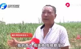 大学生回乡养虾遭“哄抢”：男女老少齐上阵抢了十多次，我太难了！