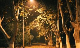 秋去冬来，落叶归根！江苏高校秋景大放送