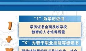 做好师资培训！教育部、发改委、财政部发文推进1+X证书制度试点工作