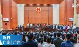 7岁男孩上学途中被砍手：56人涉黑团伙获刑，背后有公职人员当保护伞