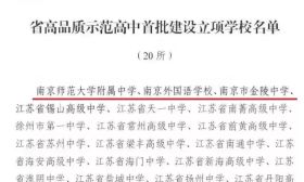 我们的2019丨打造优质多样化南京高中“新名片”