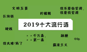 我太南了、柠檬精、硬核…2019年十大流行语新鲜出炉！
