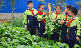 北京中小学首次为“劳动”开会，专家建议劳动为初中必修