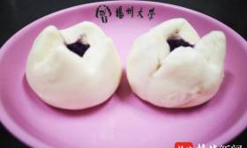 学农大学生自种甘薯“办百薯宴”迎“大雪”