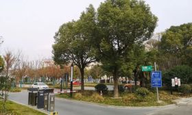 明天起，放学时间段，太仓这些停车场免费停车2小时