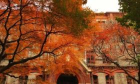 苏州 大学 高性能 金属结构 材料