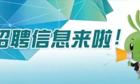 近期 中央 国家 信息中心 多家