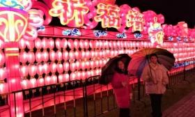 通中附校：观灯研学 文化育人