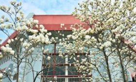 春日限定！江苏高校春景大放送