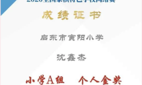 启东市寅阳小学在全国象棋特色学校网络赛中获佳绩