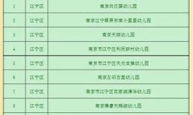 提供“上得起”的学前优质教育，南京又增10所民办惠民园