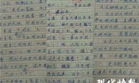 江苏一小学教师被通报批评！