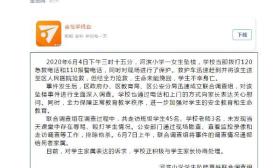 小学生疑因作文被批后坠亡 调查组：未发现辱骂殴打