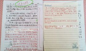 江苏一五年级女生因作文被批“传递负能量”坠楼身亡？官方通报