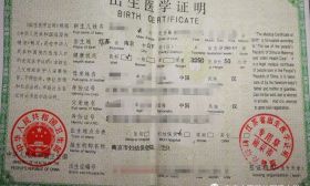 密集发布！南京25个招生简章来了!