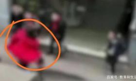 拘留15日！为女儿出头宝妈当街狂抽多名小学生