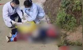 重庆一小学生上学路上被狗咬伤死亡，家属：孩子说没就没