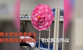 笑哭！山东一男大学生床头挂姻缘伞为招桃花，室友调侃：脱单够呛