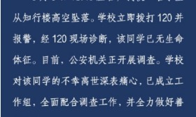 成都 49 中一学生坠楼身亡、母亲：上成华区发的声明我不认同