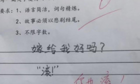 小学生奇葩作文火了，家长气的直追5条街，老师：你咋不上天？