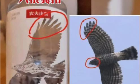 杭州小学生发现农夫山泉瓶身有错误背后是羊群效应