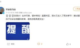 河南驻马店6名学生在公园湖泊溺亡 当地居民：都是10来岁的孩子
