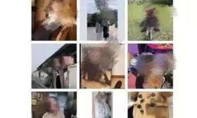 大学毕业生多次盗用女同学照片发朋友圈，配不雅文字诽谤羞辱！