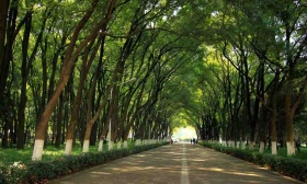 华中科技大学成立未来技术学院、集成电路学院