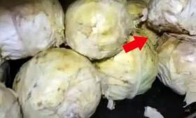 河北一学校为学生供应发霉馒头，臭油和烂菜叶，教育局：正在调查