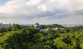 武汉大学推迟本科新生报到、资助疫情中高风险地区经济困难学生