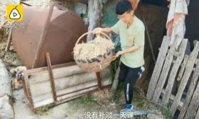 被清华录取后仍帮家里喂牛，吉林小伙：从来不补课