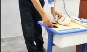 学生违规带手机，老师当场摔碎并转发至家长群，校方：警示教育片