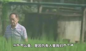 谁说农业大学就是种地？我们还赶猪、抓虫、做饭……