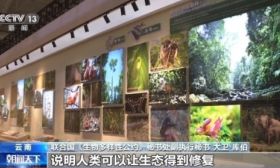 中国科学院：中国在生物多样性研究多个领域世界领跑