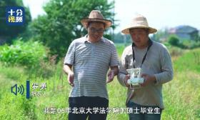 北大法学硕士辞掉公务员回乡种田：想知道农业到底难在哪