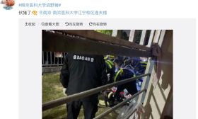 野猪闯进医科大学，表情包疯传！网友这样说……