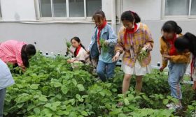 环省看双减⑨|扬州：背上“击剑礼仪包”，“小豆丁”们社团生活真精彩