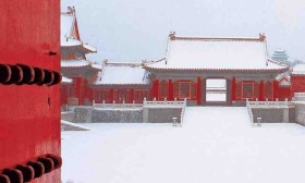“双减”背景下，博物馆资源如何助力青少年教育？