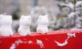 江苏的雪终于“发货”了！一起来看雪中的校园