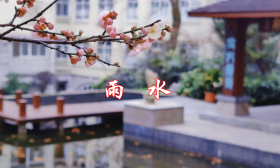 知识帖请收藏！今日份“雨水”，跟孩子们讲讲这些……